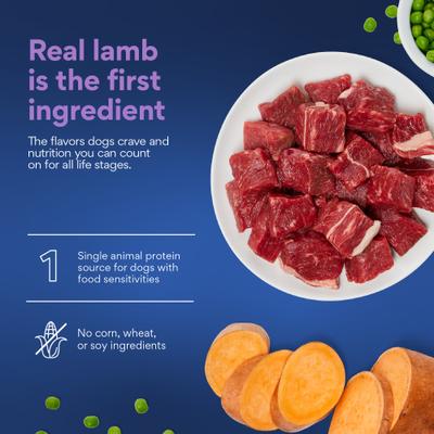 Show full view: Chewy Limited Ingredient Lamb & Sweet Potato Recipe Grain-Free Dry Dog Food (FORMERLY AMERICAN JOURNEY), 24-lb bag slide 5 of 10