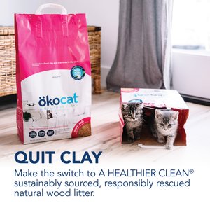 Okocat Super Soft Clumping Wood Unscented Cat Litter, 15.8-lb bag