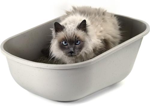 Show full view: Fresh Kitty High Sided Cat Litter Pan, Giant slide 2 of 3