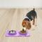 Show in main carousel: Companion Gear Silicone Placemat & Non-Skid Stainless Steel Dog & Cat Bowls, Lavender, Small: 18 x 10-in, 1.5-cup slide 4 of 4