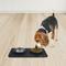 Show in main carousel: Companion Gear Silicone Placemat & Non-Skid Stainless Steel Dog & Cat Bowls, Black, Small: 18 x 10-in, 1.5-cup slide 3 of 3