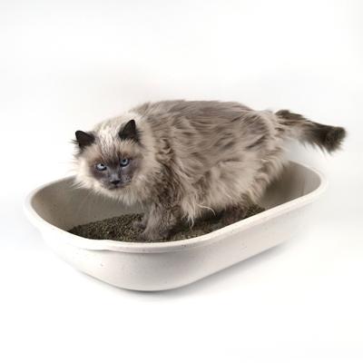 Show full view: Fresh Kitty Open Cat Litter Pan, Large slide 3 of 5