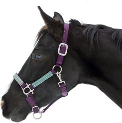 Kensington Protective Products Premium Reflective Nylon Horse Halter, Imperial Jade, Horse