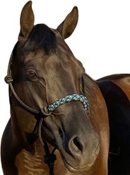 Kensington Protective Products Clinician Rope Horse Halter, Atlantis