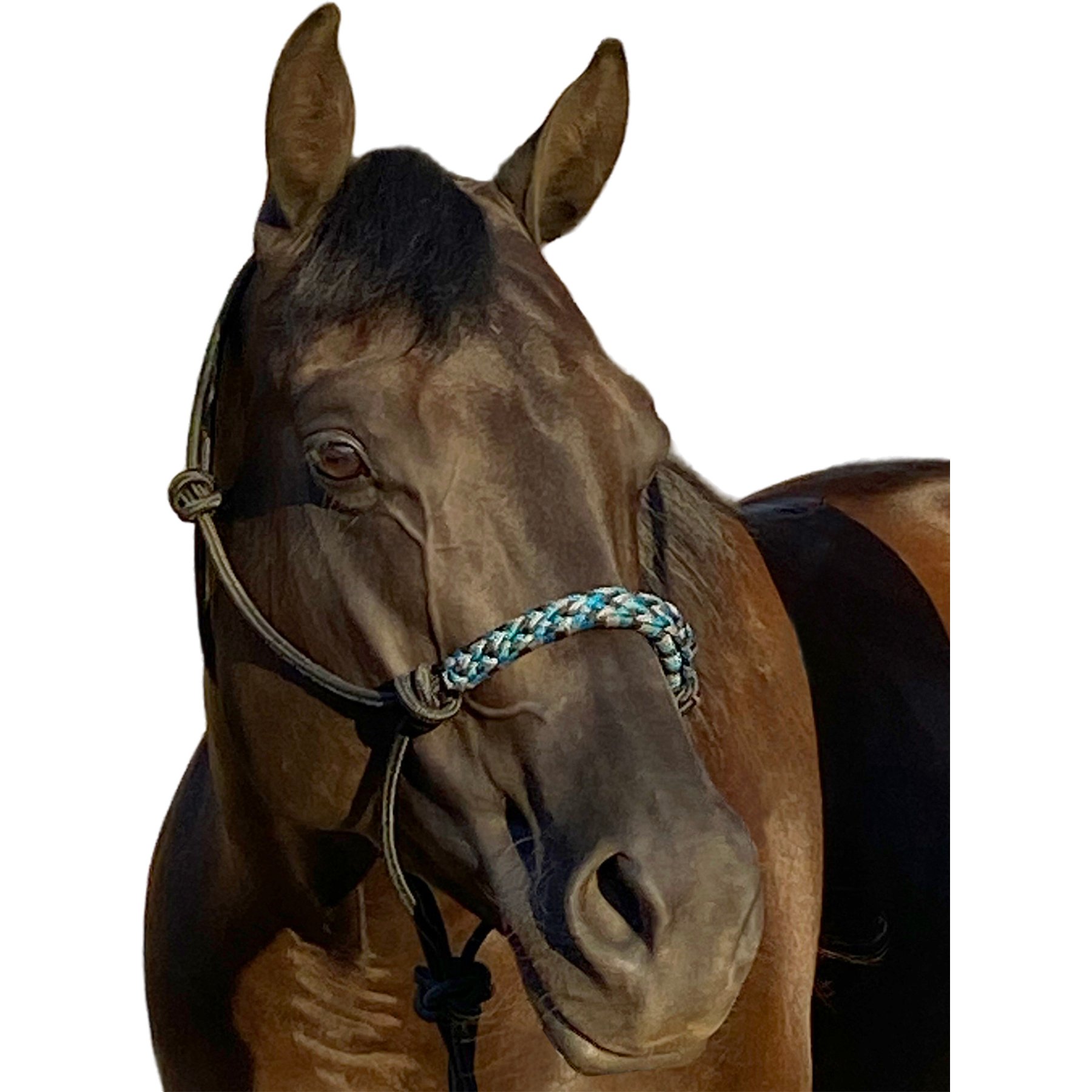 Kensington Protective Products Clinician Rope Horse Halter, Atlantis
