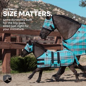 Kensington Protective Products UV Protective Mini Horse Fly Sheet, 50-in, Lavender Mint