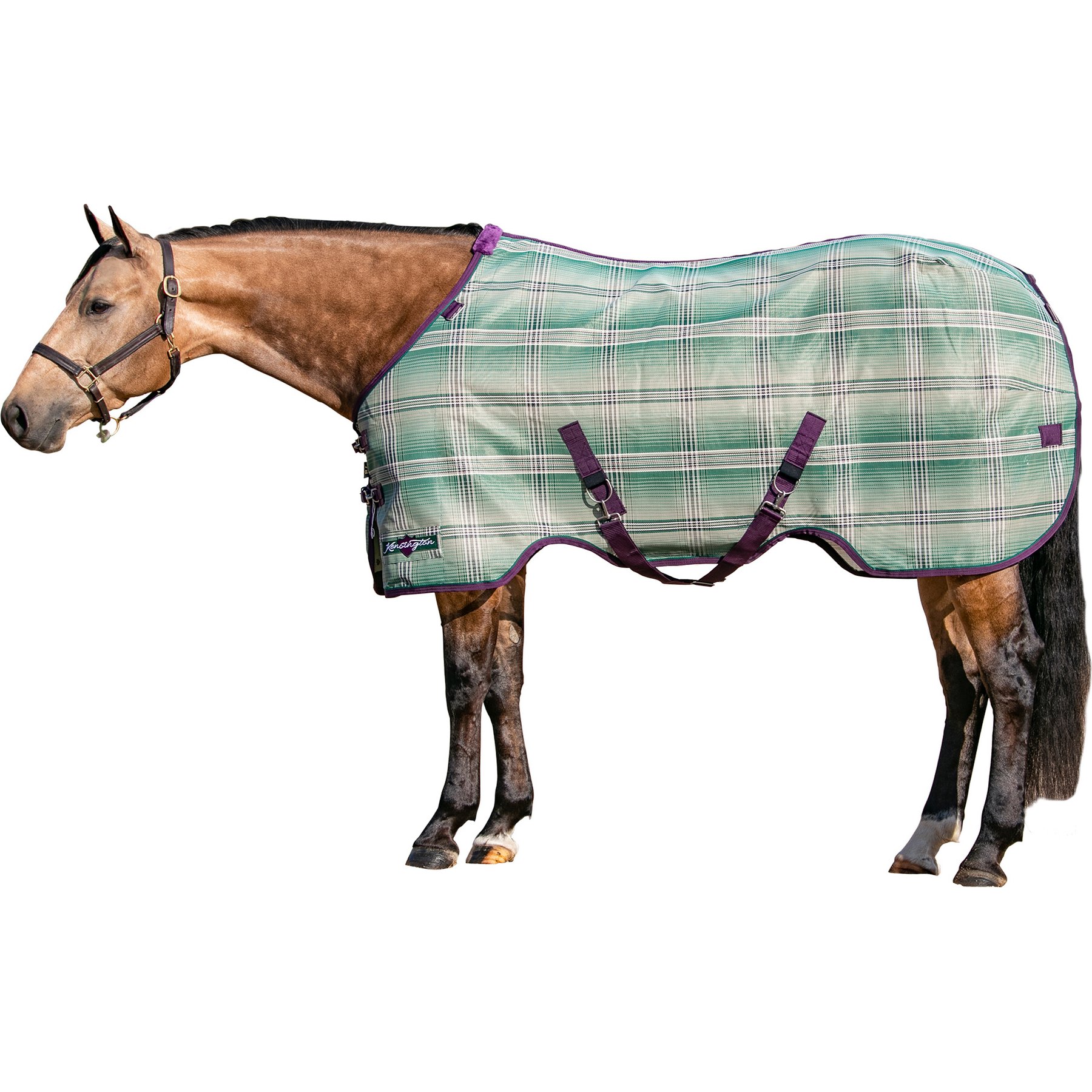 Kensington Protective Products UV Protective Horse Fly Sheet, 84-in, Imperial Jade