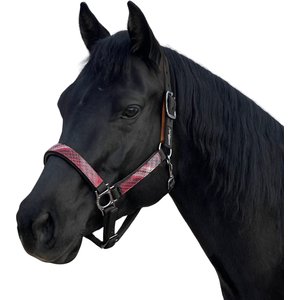 Kensington Protective Products Premium Horse Breakaway Halter, Black/Merlot, Average