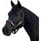 Show in main carousel: Kensington Protective Products Premium Reflective Horse Nylon Breakaway Halter, Average, Black/Merlot slide 1 of 10