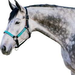 Kensington Protective Products Premium Reflective Horse Nylon Breakaway Halter, Large, Atlantis