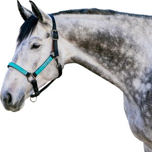 Kensington Protective Products Premium Reflective Horse Nylon Breakaway Halter, Average, Atlantis