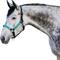 Show in main carousel: Kensington Protective Products Premium Reflective Horse Nylon Breakaway Halter, Average, Atlantis slide 1 of 10