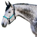 Kensington Protective Products Premium Reflective Horse Nylon Breakaway Halter, Atlantis, Warmblood