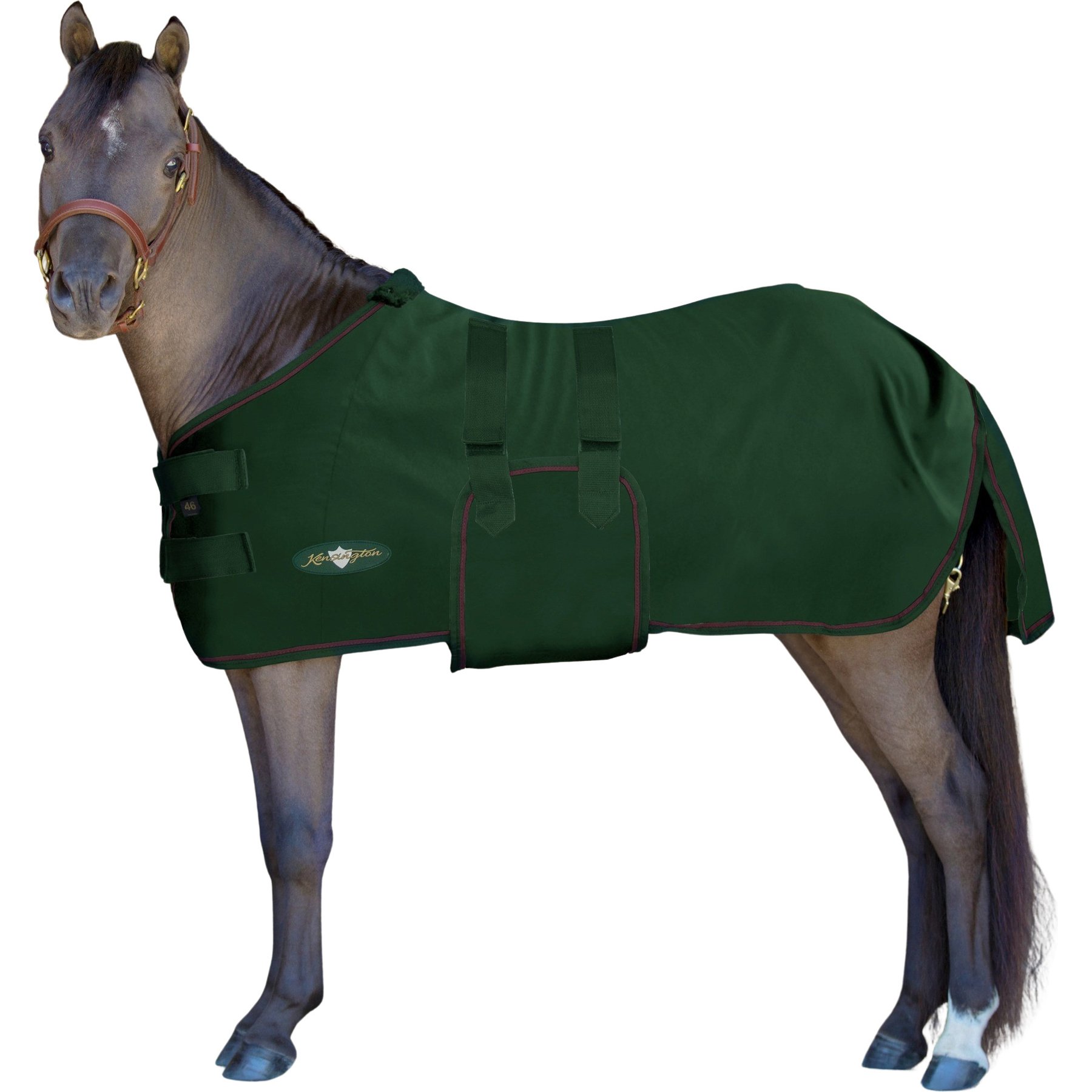 Kensington Protective Products Poly Cotton Mini Horse Stable Sheett, 54-in, Hunter