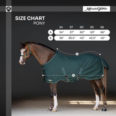 Show full view: Kensington Protective Products Poly Cotton Stable Mini Horse Sheet, 50-in, Navy slide 3 of 7