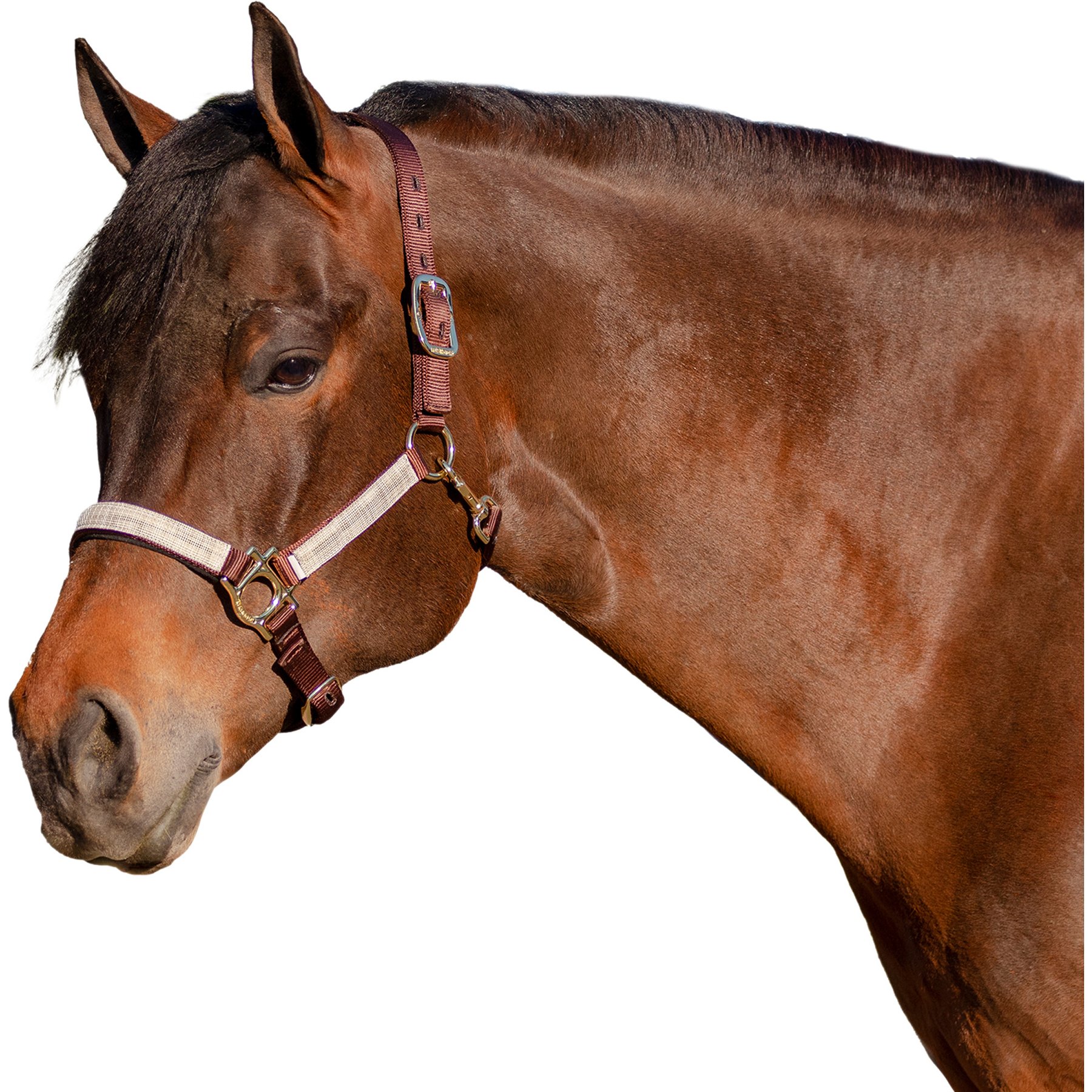 Kensington Protective Products Premium Reflective Nylon Horse Halter, Desert Sand, Cob/Arab
