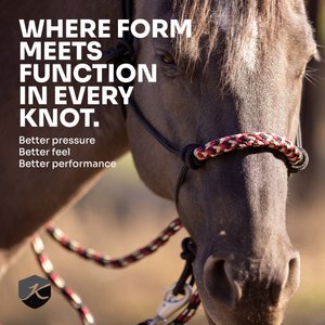 Kensington Protective Products Clinician Rope Horse Halter, Deluxe Black