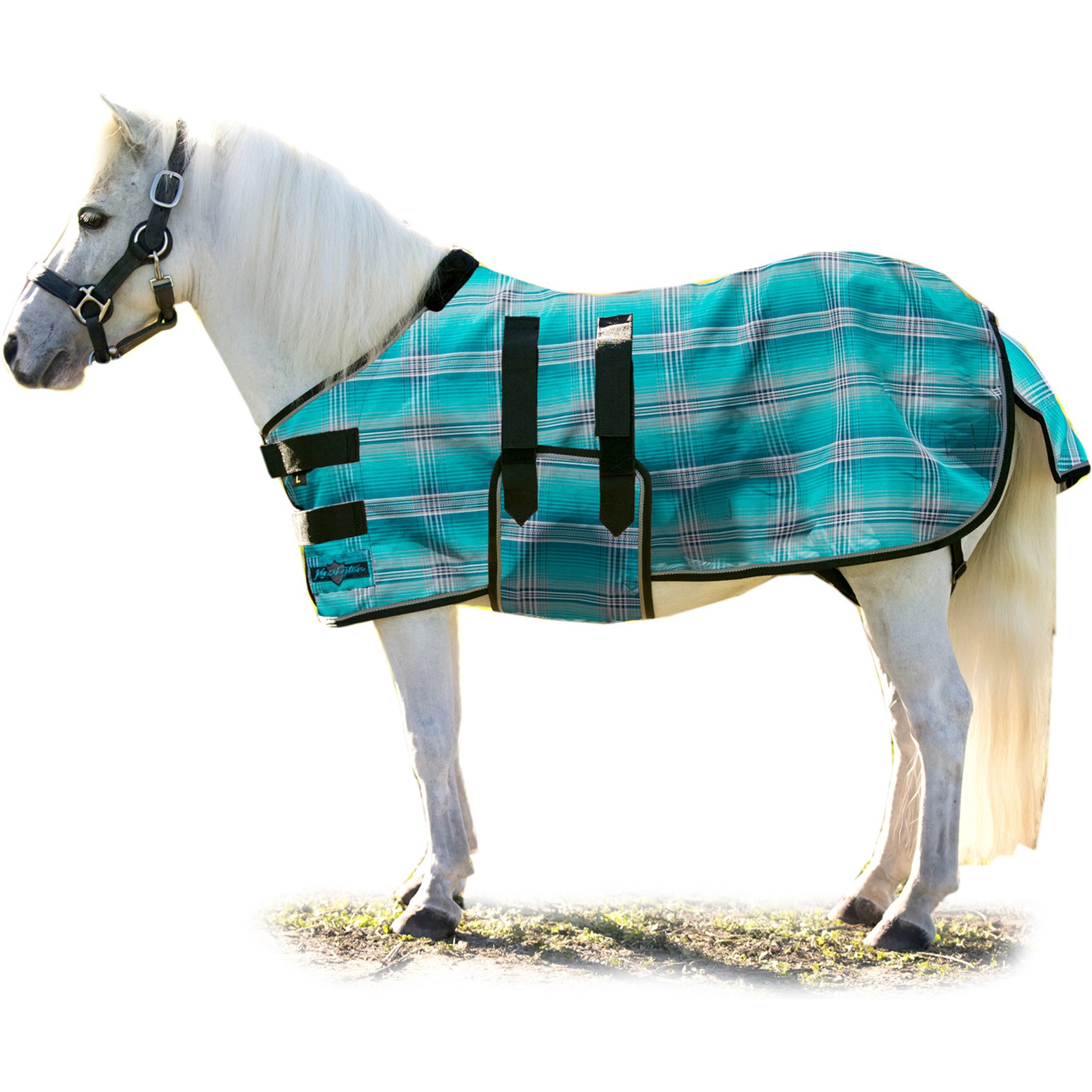 Kensington Protective Products UV Protective Mini Horse Fly Sheet, 54-in, Atlantis