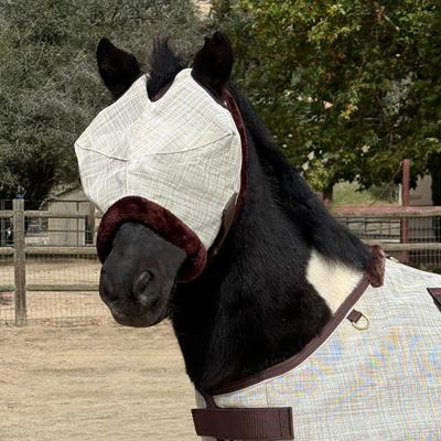 Show full view: Kensington Protective Products Mini & Pony Fly Mask with Fleece Trim, Desert Sand, Small slide 2 of 8