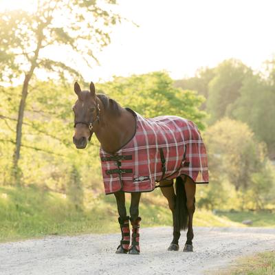 Show full view: Kensington Protective Products UV Protective Horse Fly Sheet, 81-in, Merlot slide 5 of 9