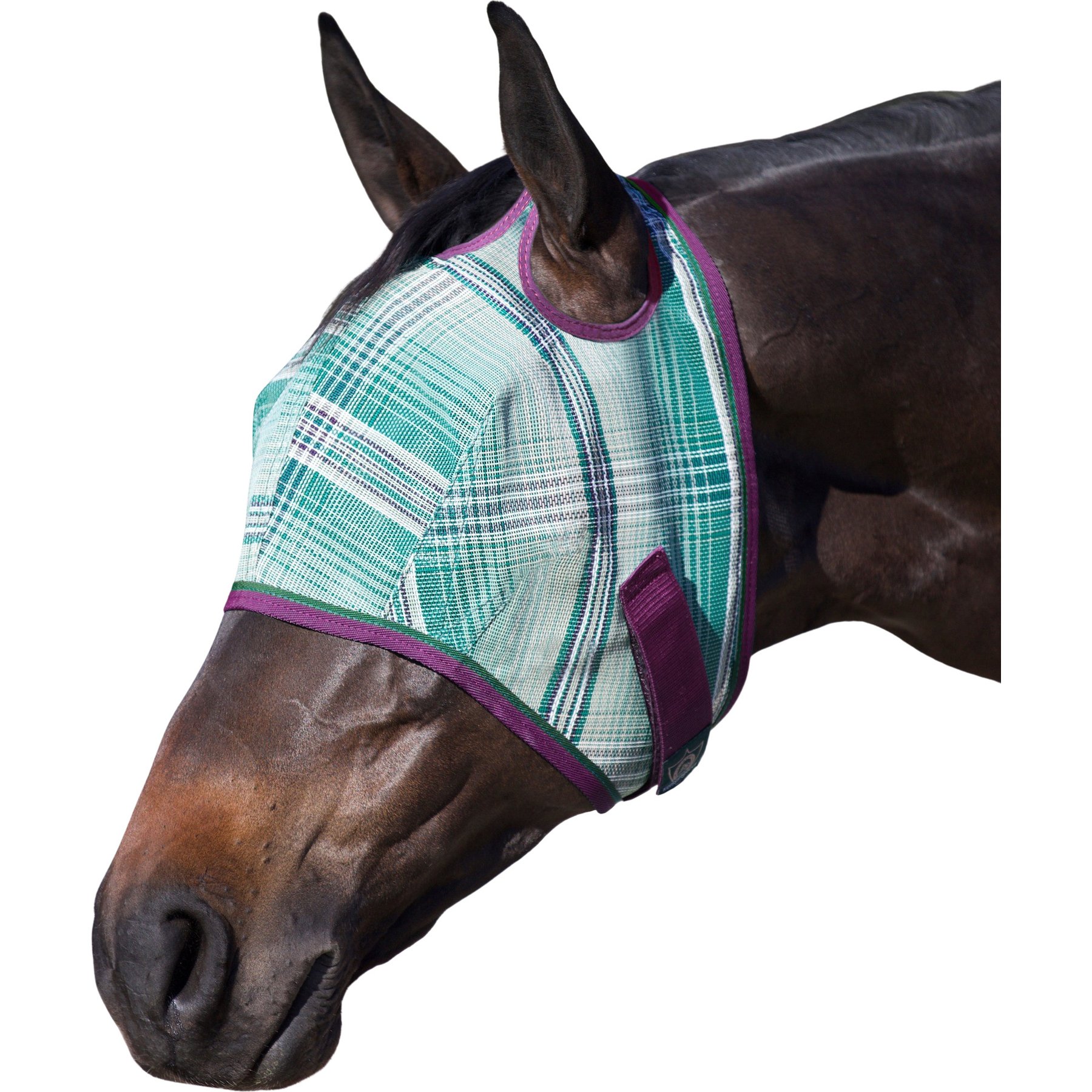 Kensington Protective Products Horse Fly Mask with Web Trim, Imperial Jade, Horse