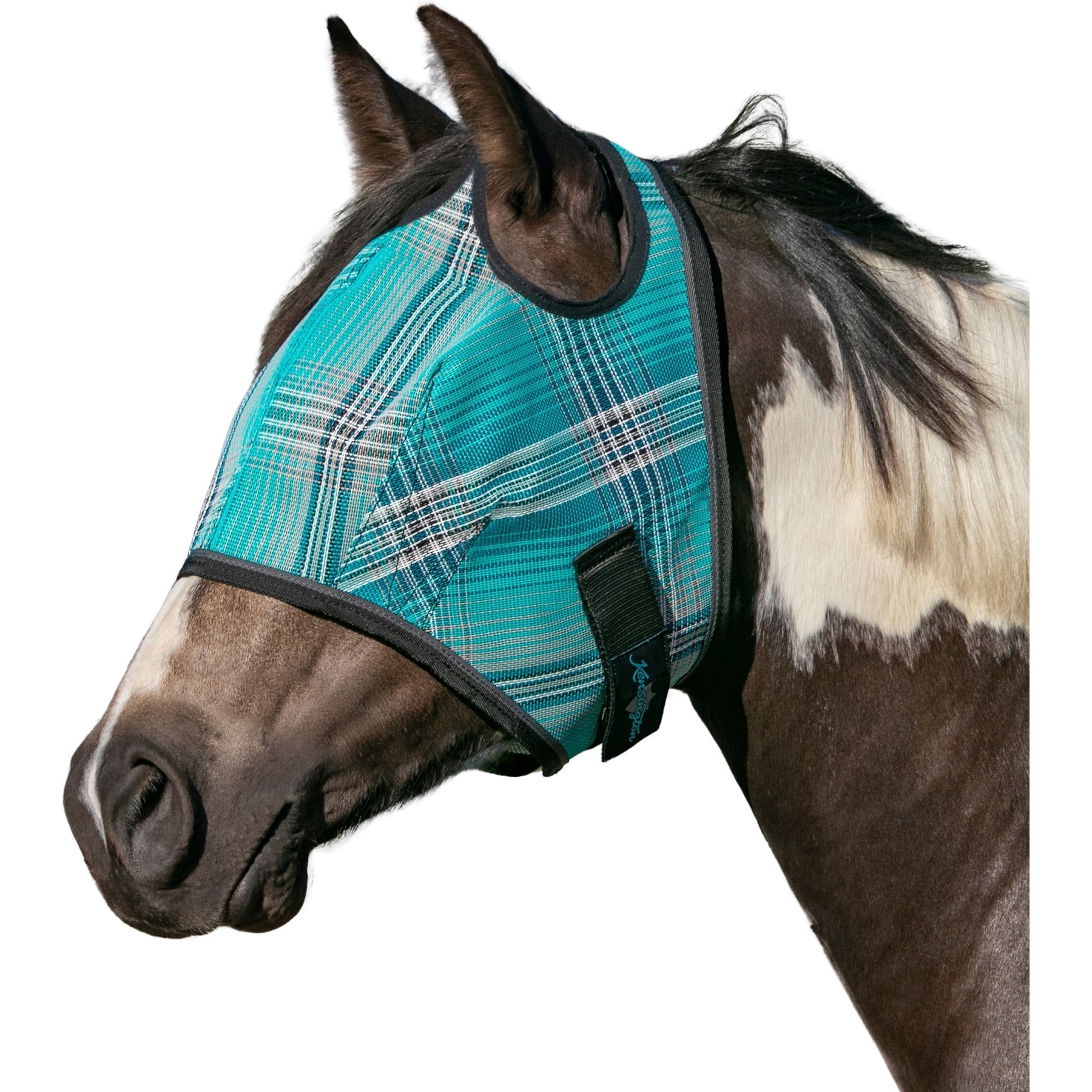 Kensington Protective Products Horse Fly Mask with Web Trim, Atlantis, Yearling