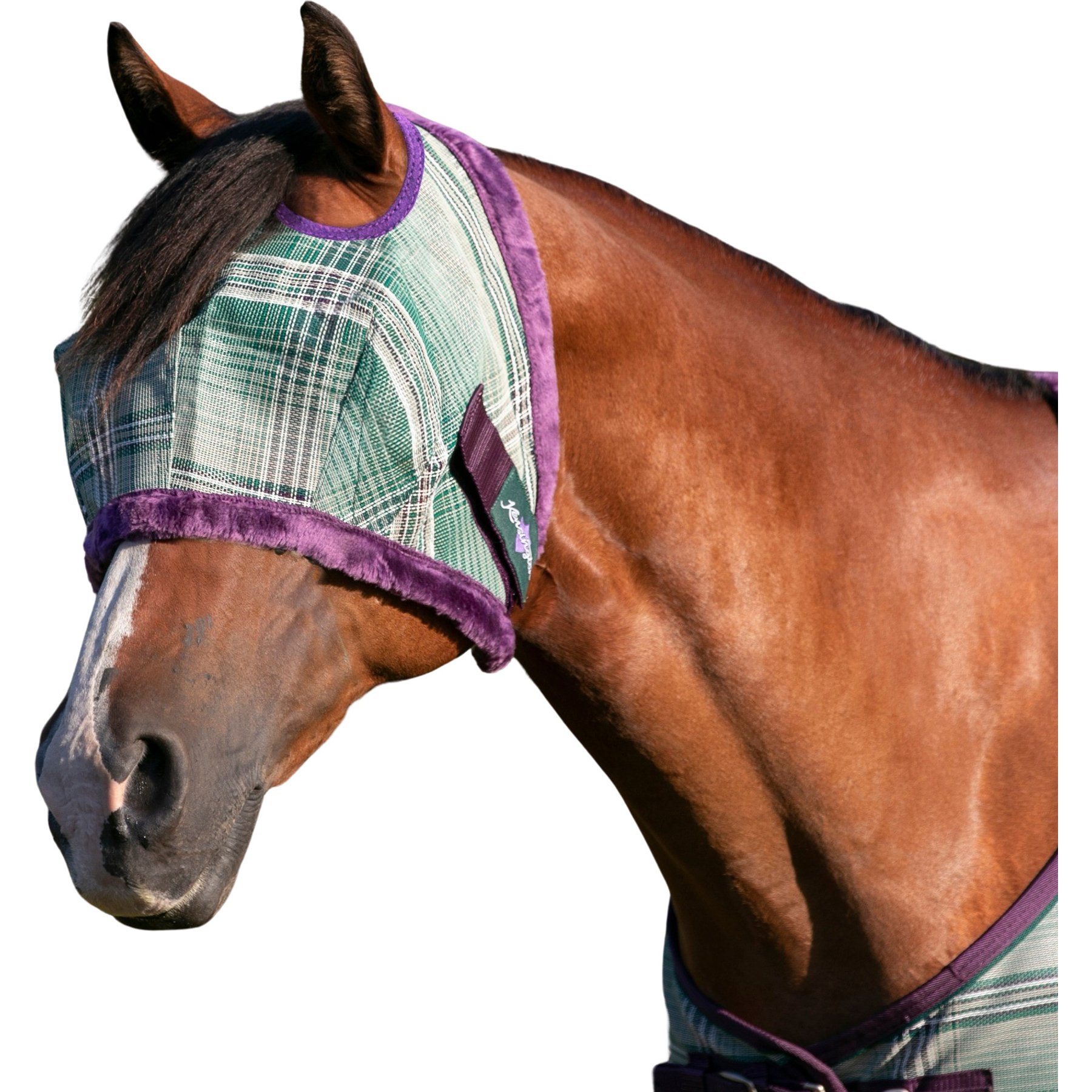 Kensington Protective Products Horse Fly Mask with Fleece Trim, Imperial Jade, Warmblood