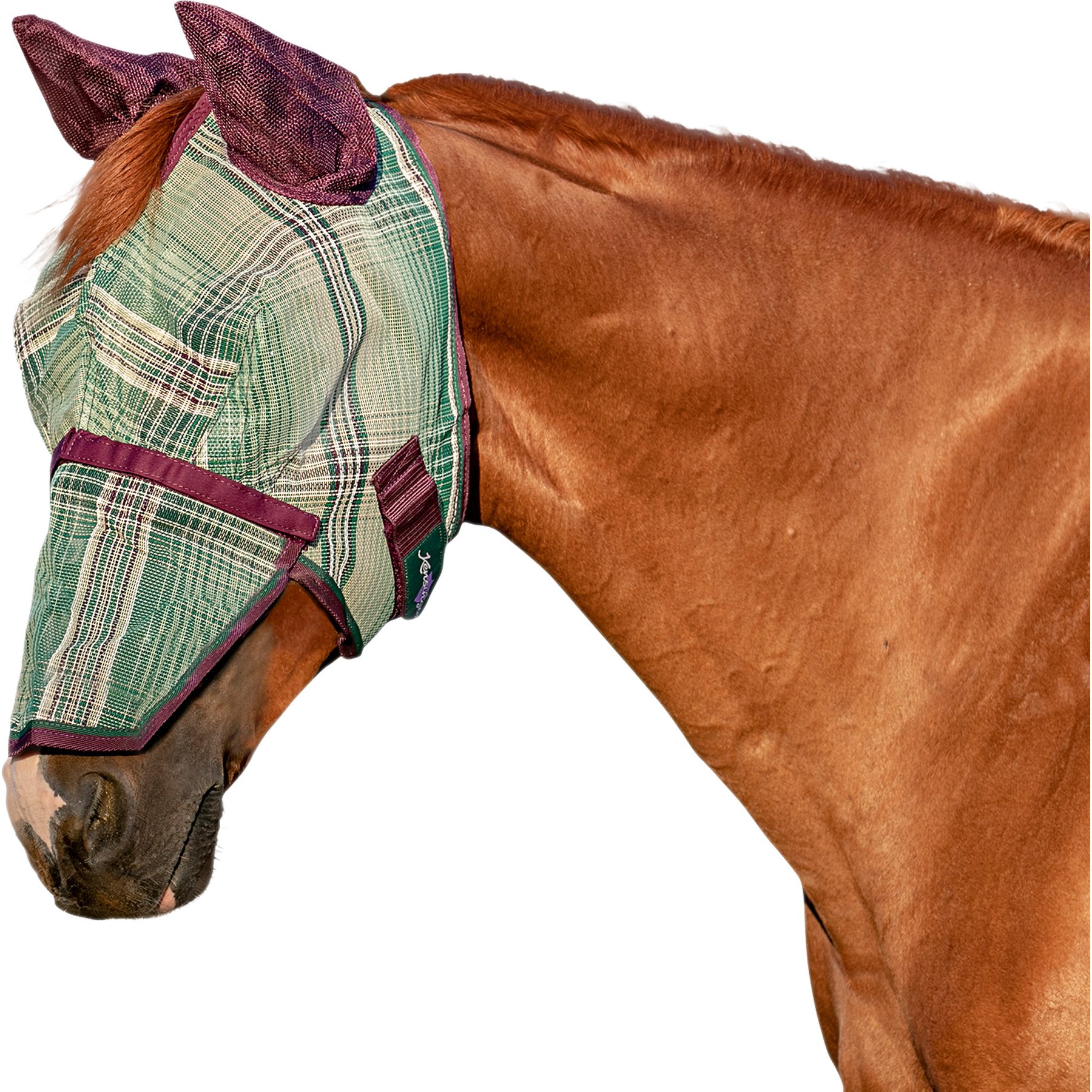 Kensington Protective Products Horse Fly Mask with Removable Nose, Imperial Jade, Cob/Arab