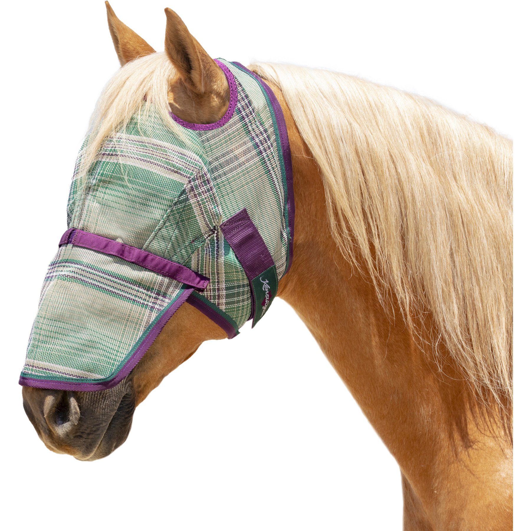 Kensington Protective Products Horse Fly Mask with Web & Nose, Imperial Jade, Warmblood