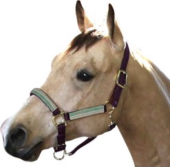 Kensington Protective Products Premium Reflective Horse Nylon Breakaway Halter, Imperial Jade, Horse