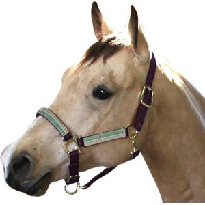 Kensington Protective Products Premium Reflective Horse Nylon Breakaway Halter, Average, Imperial Jade