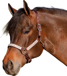 Kensington Protective Products Premium Reflective Horse Nylon Breakaway Halter, Average, Desert Sand