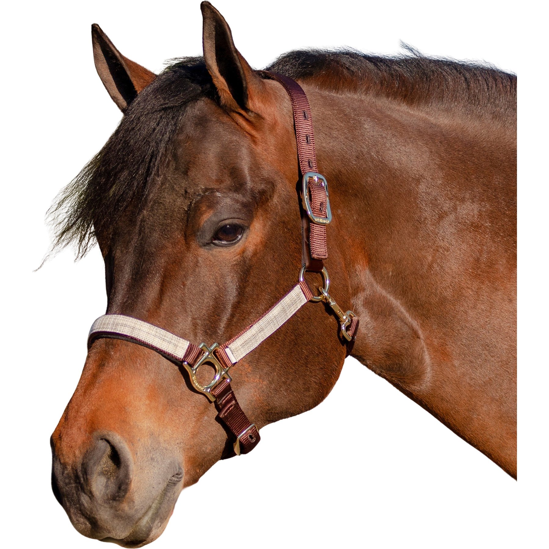 Kensington Protective Products Premium Reflective Horse Nylon Breakaway Halter, Desert Sand, Horse