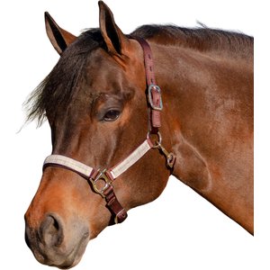 Kensington Protective Products Premium Reflective Horse Nylon Breakaway Halter, Average, Desert Sand