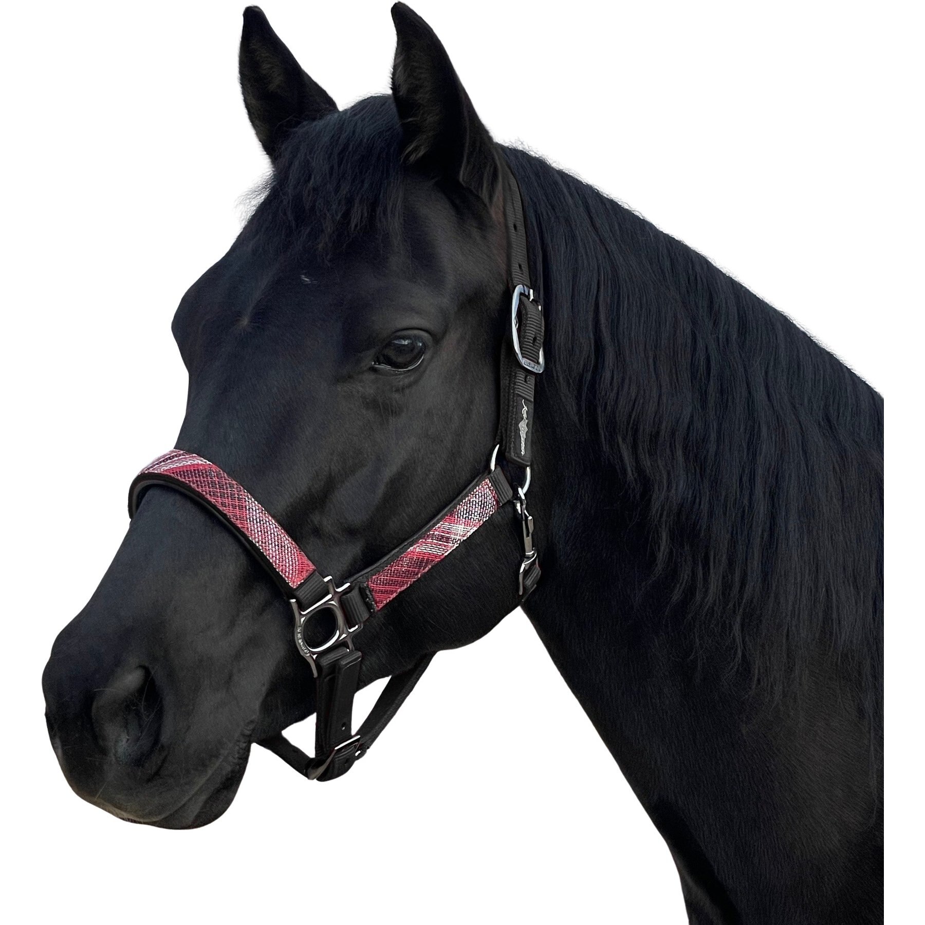 Kensington Protective Products Premium Reflective Nylon Horse Halter, Black/Merlot, Horse