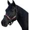 Show in main carousel: Kensington Protective Products Premium Reflective Horse Nylon Breakaway Halter, Small, Black/Merlot slide 1 of 9