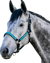 Kensington Protective Products Premium Reflective Nylon Horse Halter, Medium, Atlantis