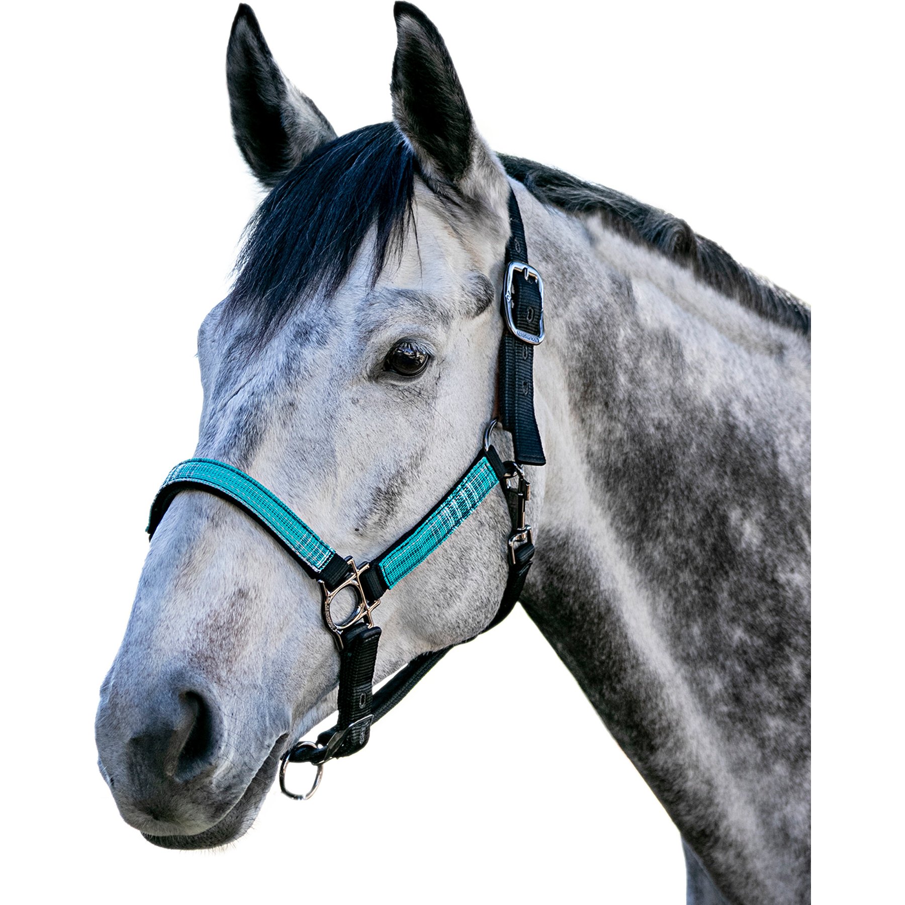 Kensington Protective Products Premium Reflective Nylon Horse Halter, Atlantis, Warmblood