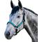 Show in main carousel: Kensington Protective Products Premium Reflective Nylon Horse Halter, Medium, Atlantis slide 1 of 8