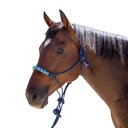 Kensington Protective Products Clinician Rope Horse Halter, Kentucky Blue