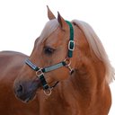 Kensington Protective Products Premium Reflective Horse Nylon Breakaway Halter, Atlantis, Cob/Arab