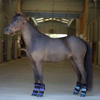 Show full view: Kensington Protective Products Miniature Horse Fly Boots with Fleece Trim, 4 count, Lavender Mint, Mini slide 5 of 8