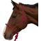 Show in main carousel: Kensington Protective Products Clinician Rope Horse Halter, Merlot slide 1 of 8