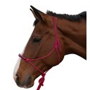 Kensington Protective Products Clinician Rope Horse Halter, Merlot