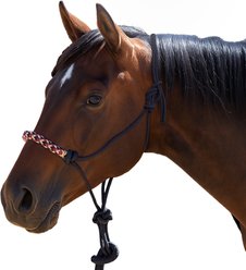 Kensington Protective Products Clinician Rope Horse Halter, Deluxe Black