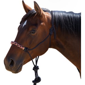 Kensington Protective Products Clinician Rope Horse Halter, Deluxe Black