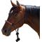 Show in main carousel: Kensington Protective Products Clinician Rope Horse Halter, Deluxe Black slide 1 of 8