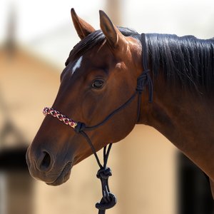 Kensington Protective Products Clinician Rope Horse Halter, Deluxe Black