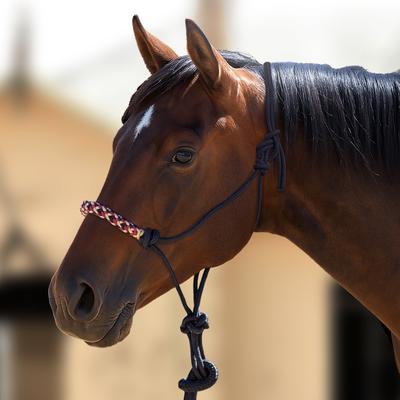 Show full view: Kensington Protective Products Clinician Rope Horse Halter, Deluxe Black slide 2 of 8