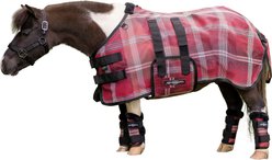 Kensington Protective Products UV Protective Mini Horse Fly Sheet, 54-in, Merlot